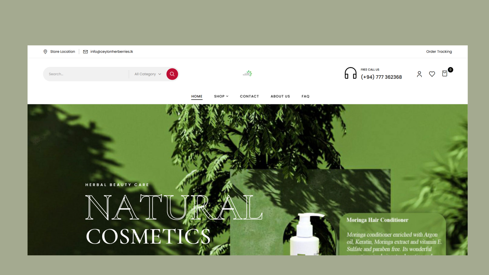 Brand Guide and Web Design Mockup